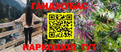 сатива Обь